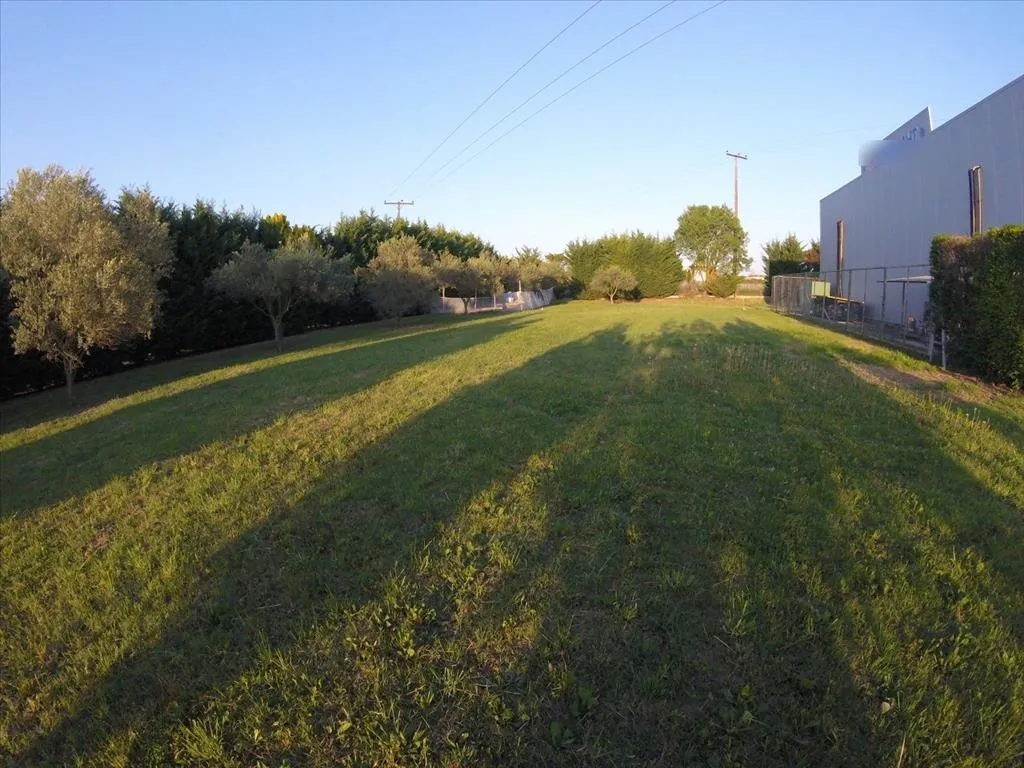 Other .. 740m²  - 5