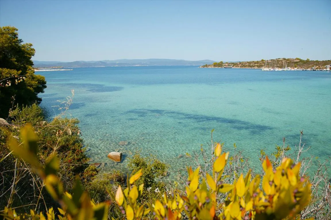 Άλλο.. 480τ.μ.  - 2
