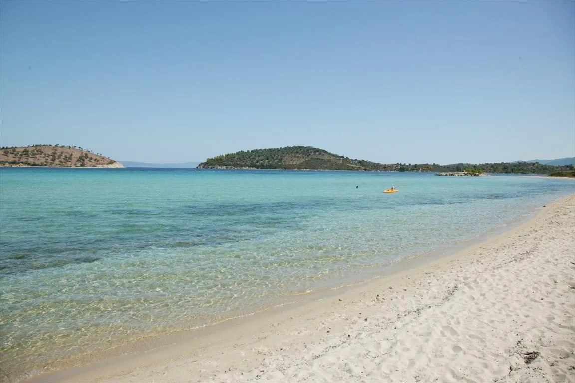 Άλλο.. 480τ.μ.  - 4