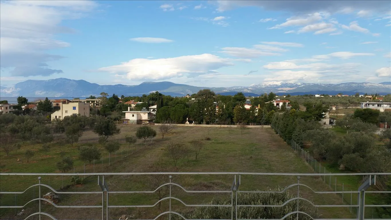 Detached house 420m²  - 2