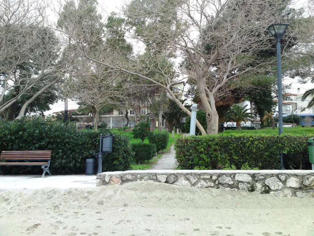Άλλο.. 1250τ.μ.  - 5