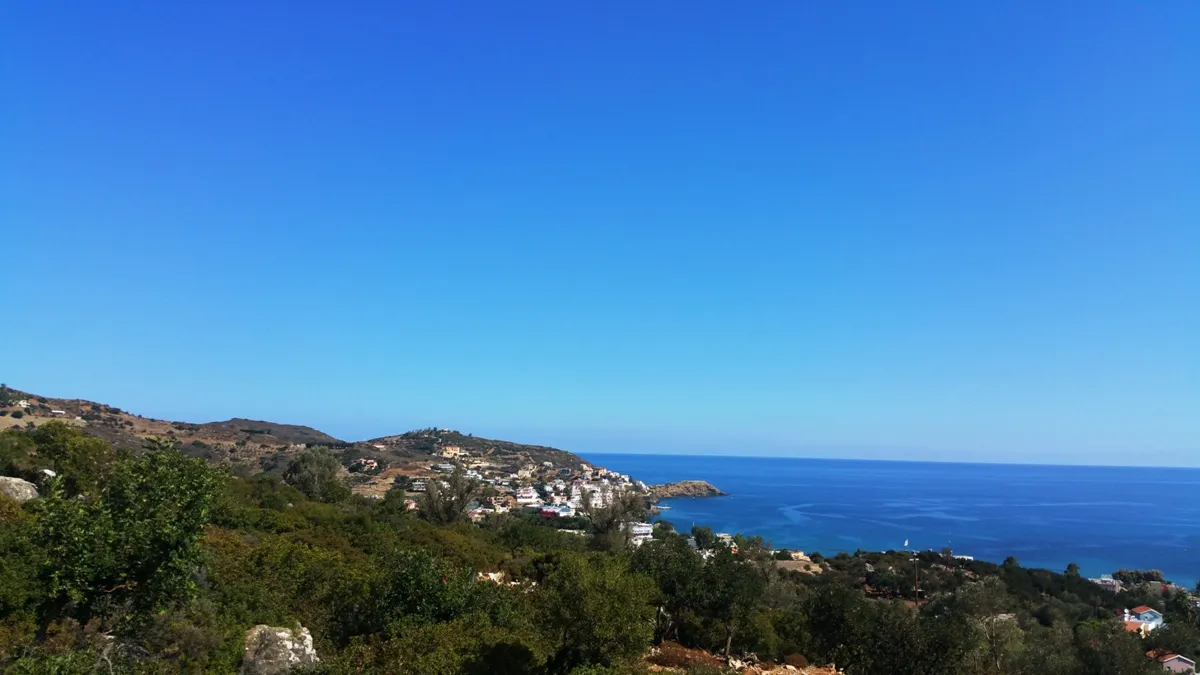 Plot 15000m²  - 3