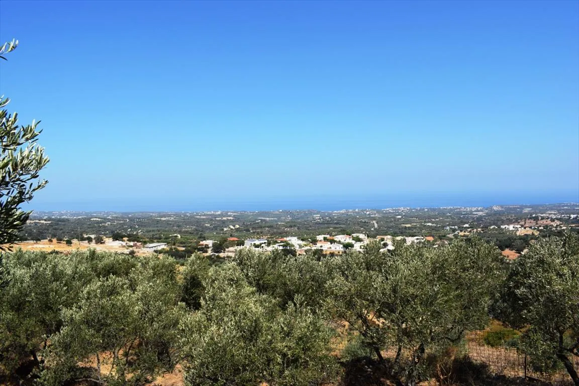 Plot 8556m²  - 2
