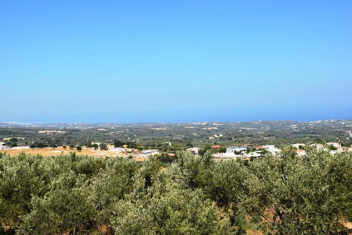 Plot 8556m²  - 4
