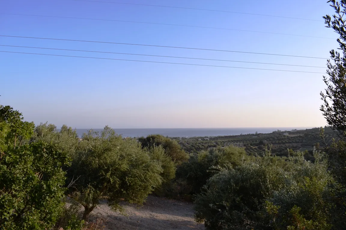 Plot 4800m²  - 2