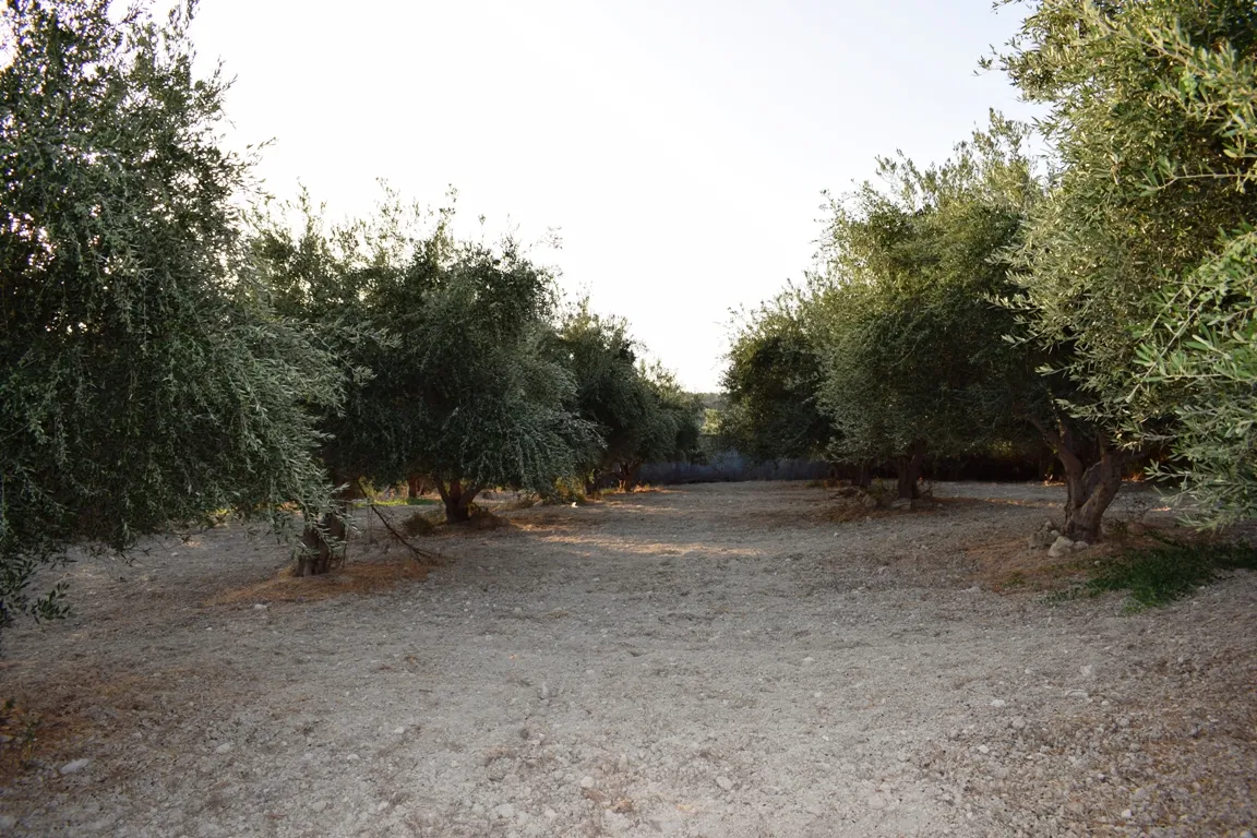 Plot 4800m²  - 3