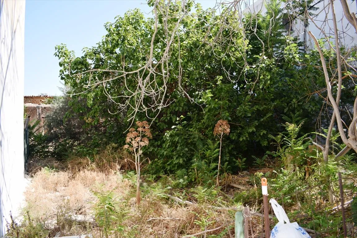 Plot 402m²  - 4