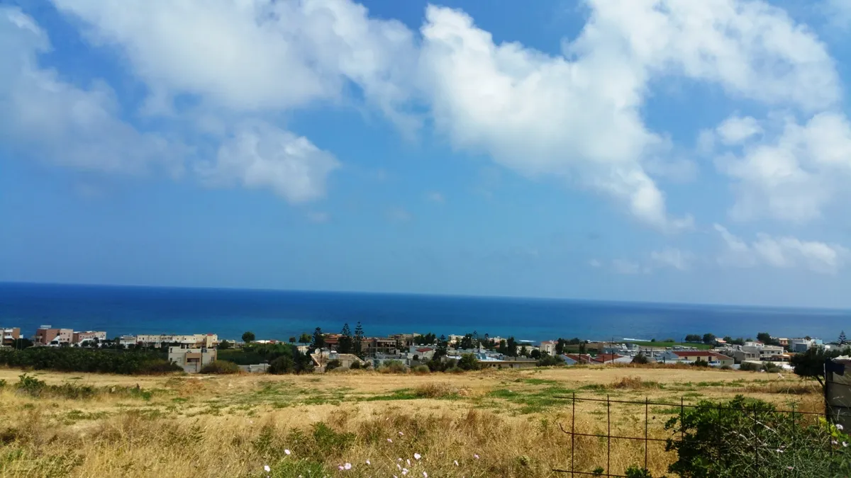 Plot 20000m²  - 3