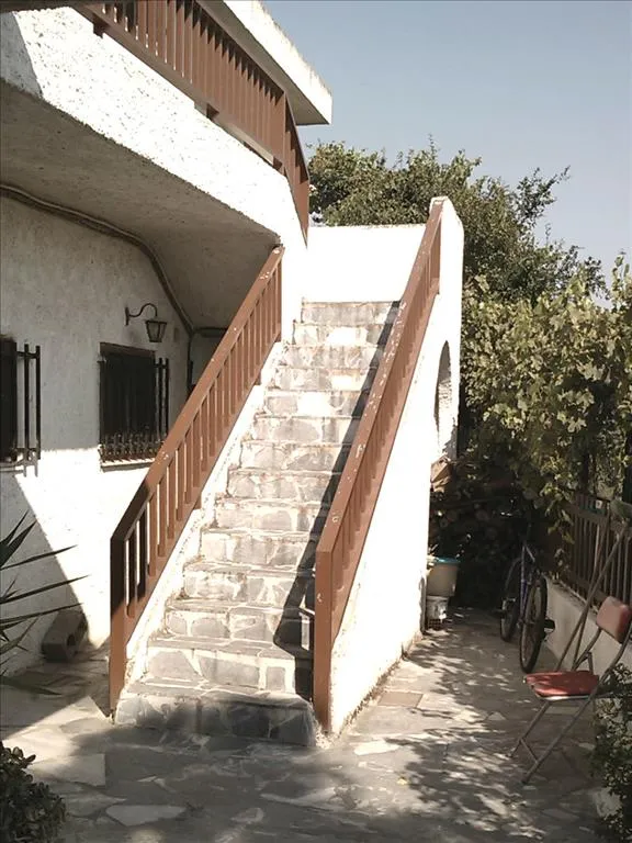 Other ..  384m²  - 3