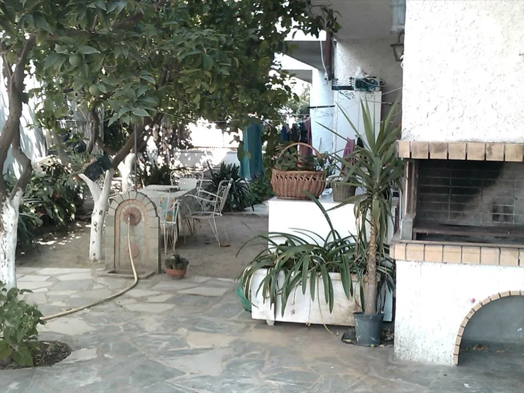 Other ..  384m²  - 5