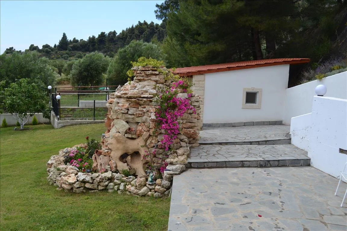 Detached house 1000m²  - 4