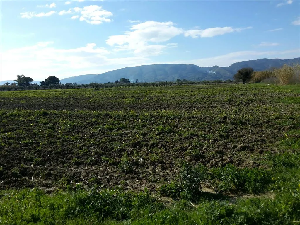 Plot 120000m²  - 4