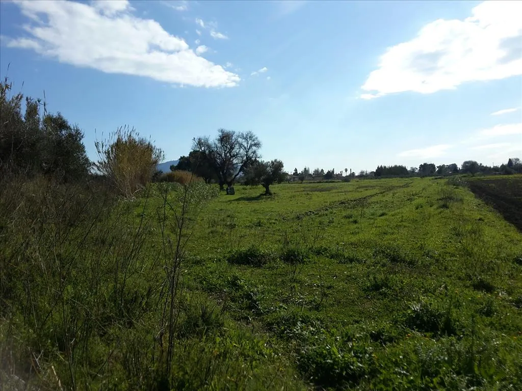 Plot 120000m²  - 5