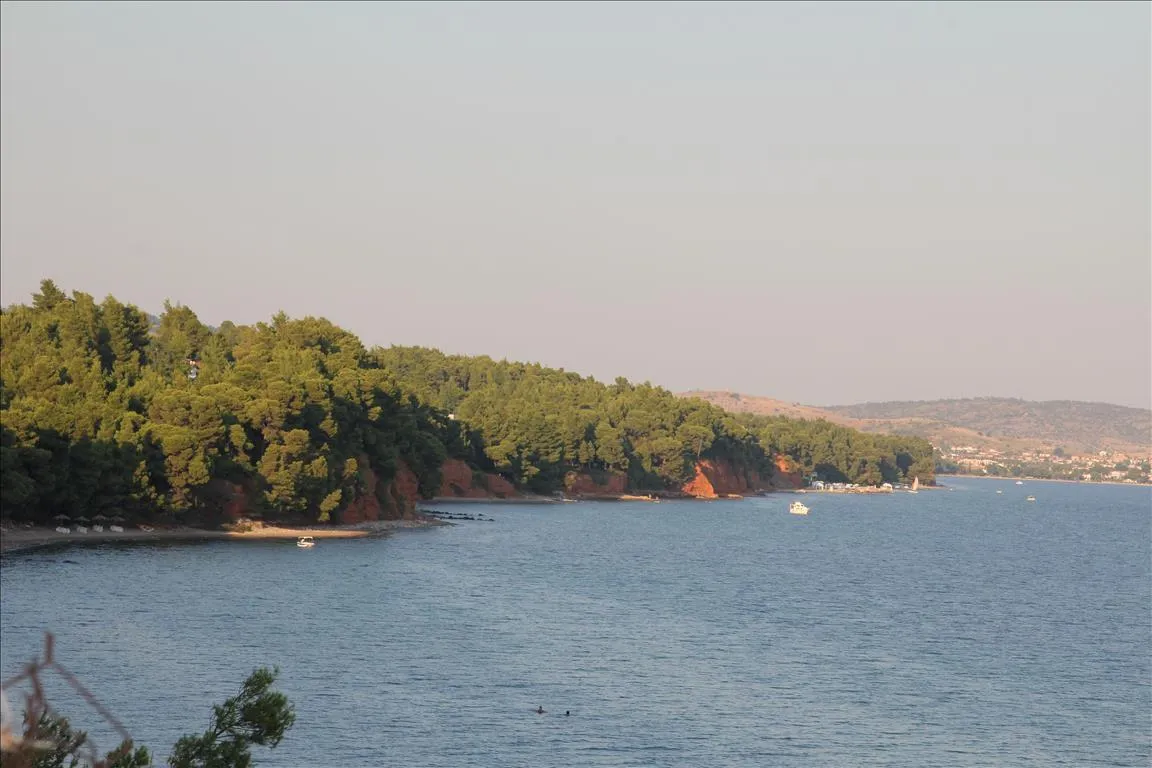 Οικόπεδο 3600τ.μ.  - 3