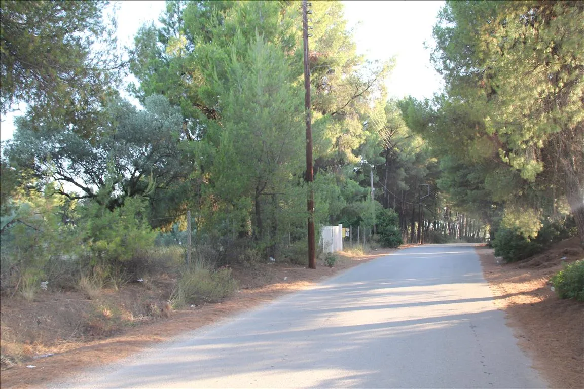 Οικόπεδο 3600τ.μ.  - 4