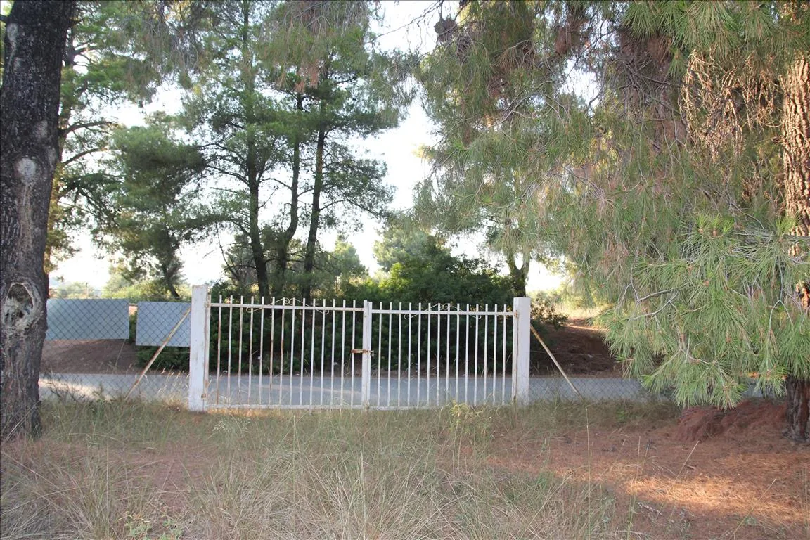 Οικόπεδο 3600τ.μ.  - 5