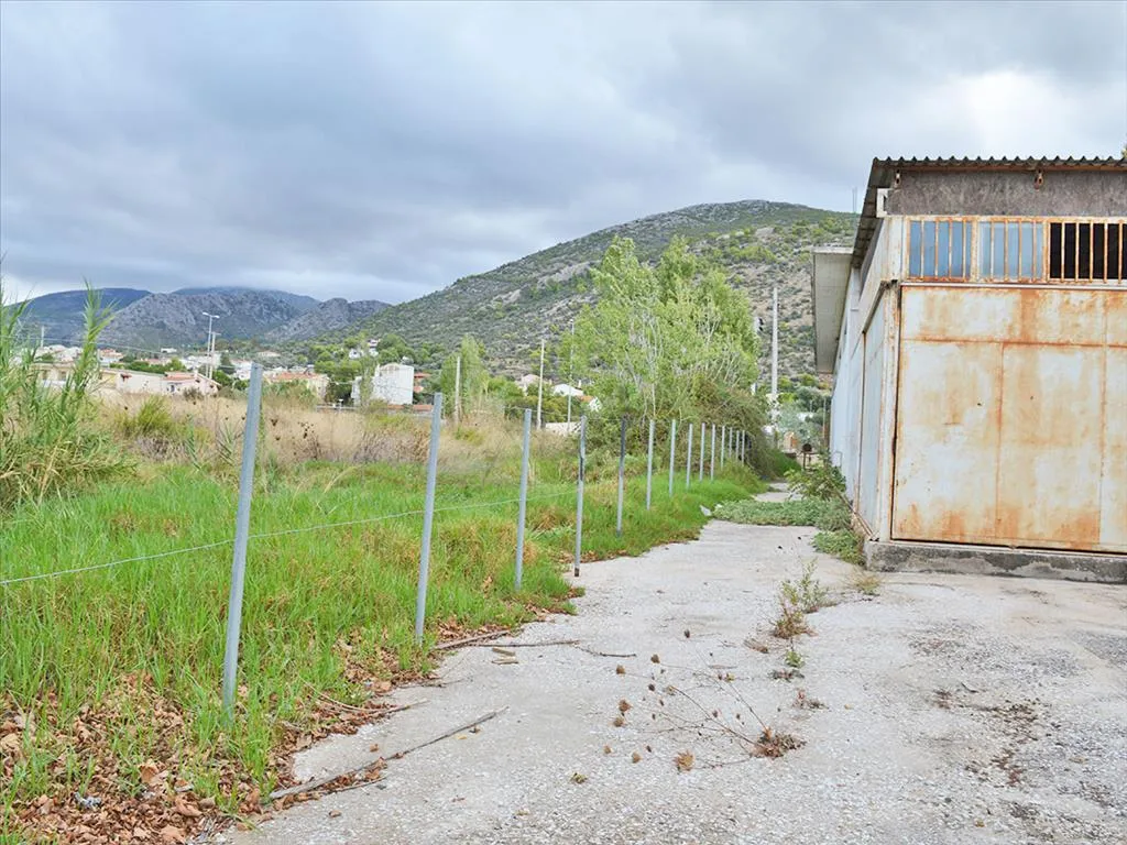Άλλο.. 360τ.μ.  - 2