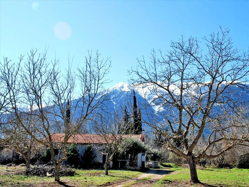 Detached house 140m²  - 5