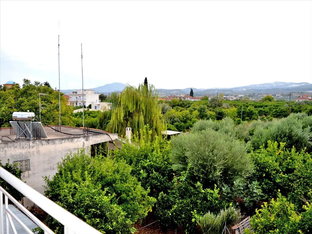 Apartment 77m²  - 2