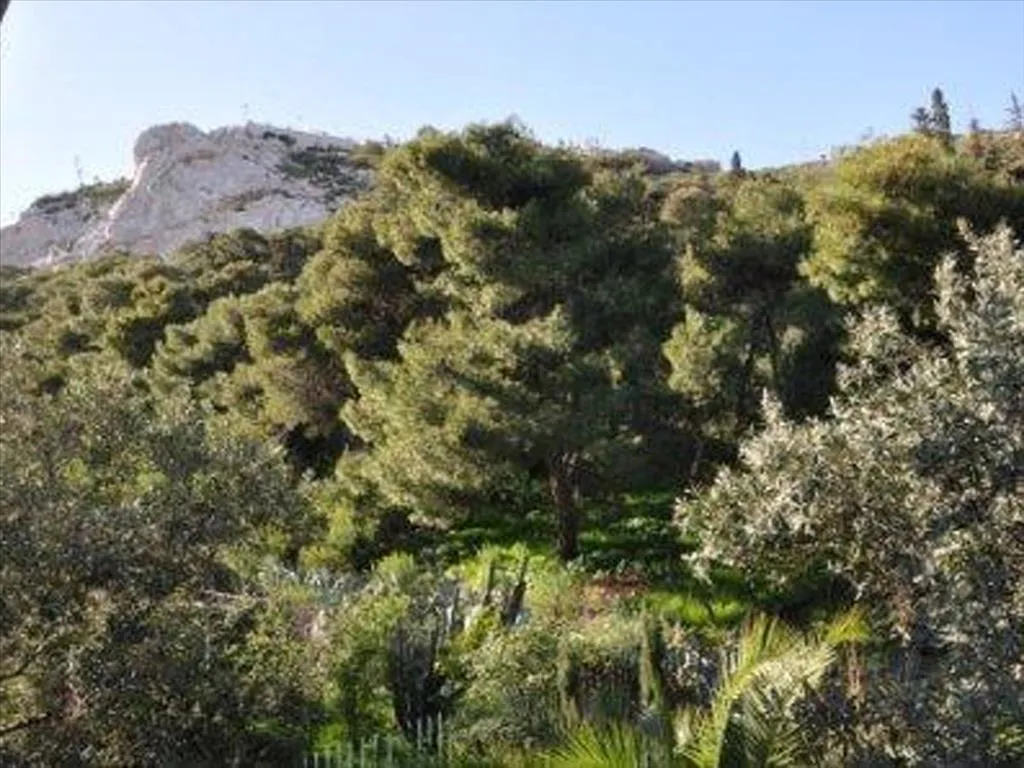 Μονοκατοικία 1381τ.μ.  - 5