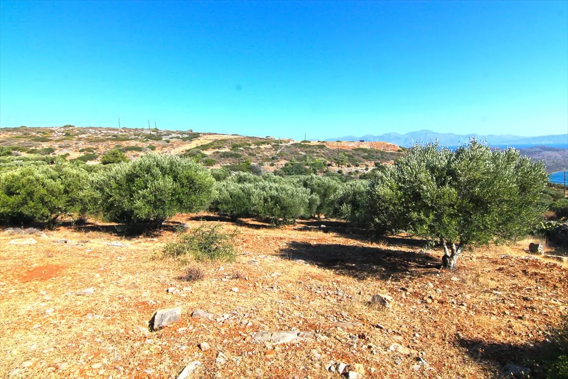 Plot 4126m²  - 3
