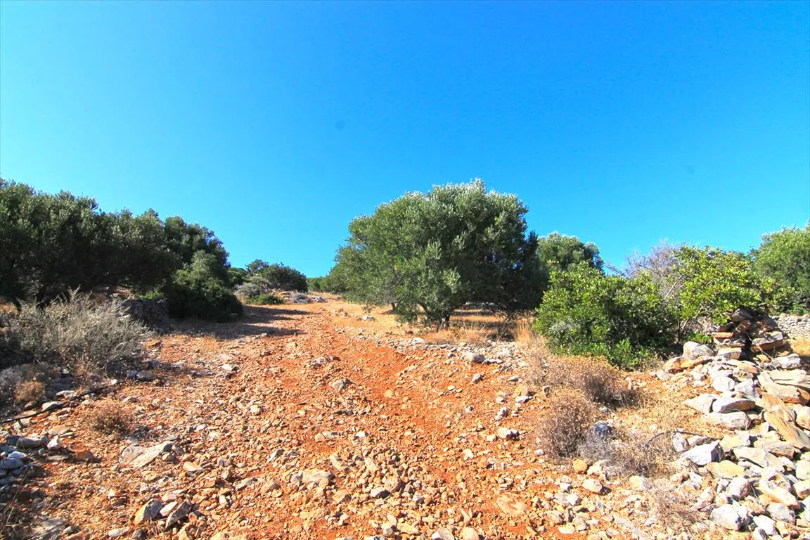 Plot 4126m²  - 5