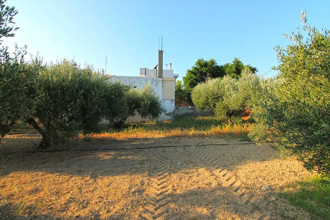 Οικόπεδο 1800τ.μ.  - 2