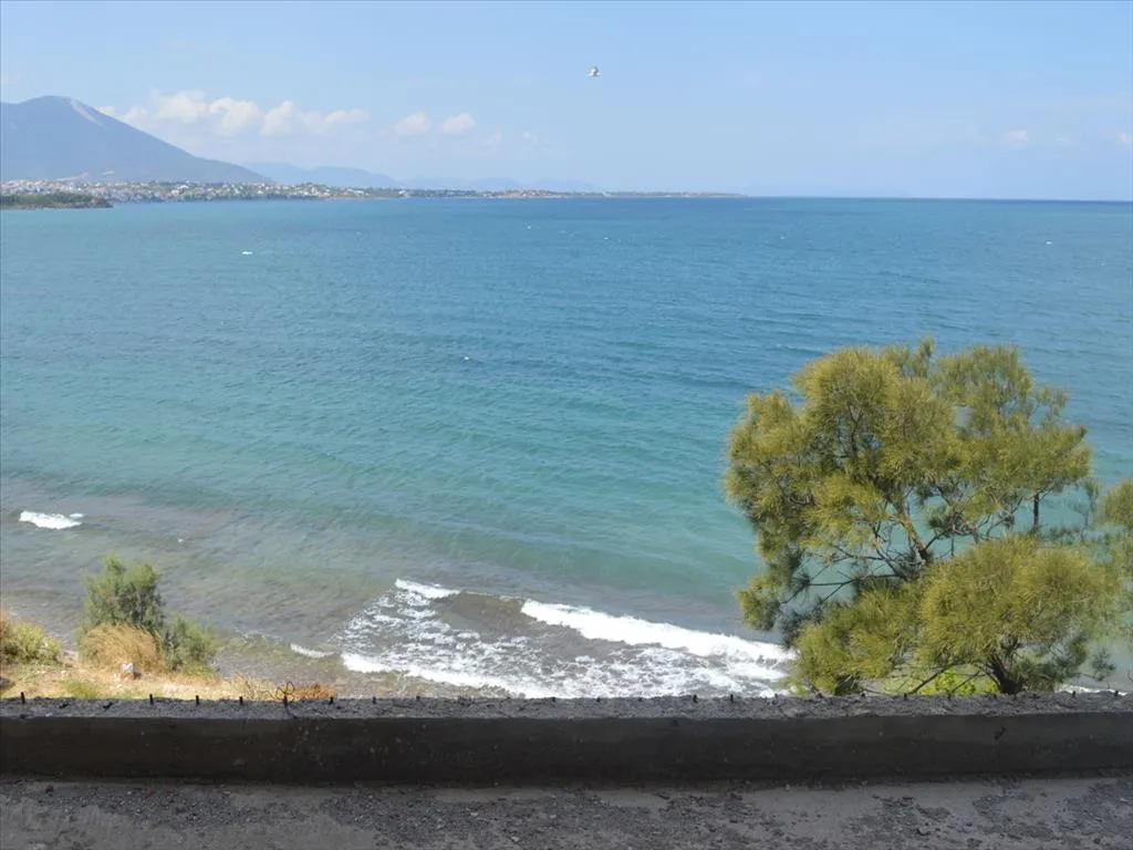 Standalone residential building 470m²  - 4