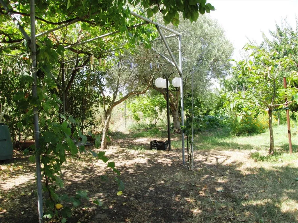 Μονοκατοικία 285τ.μ.  - 2