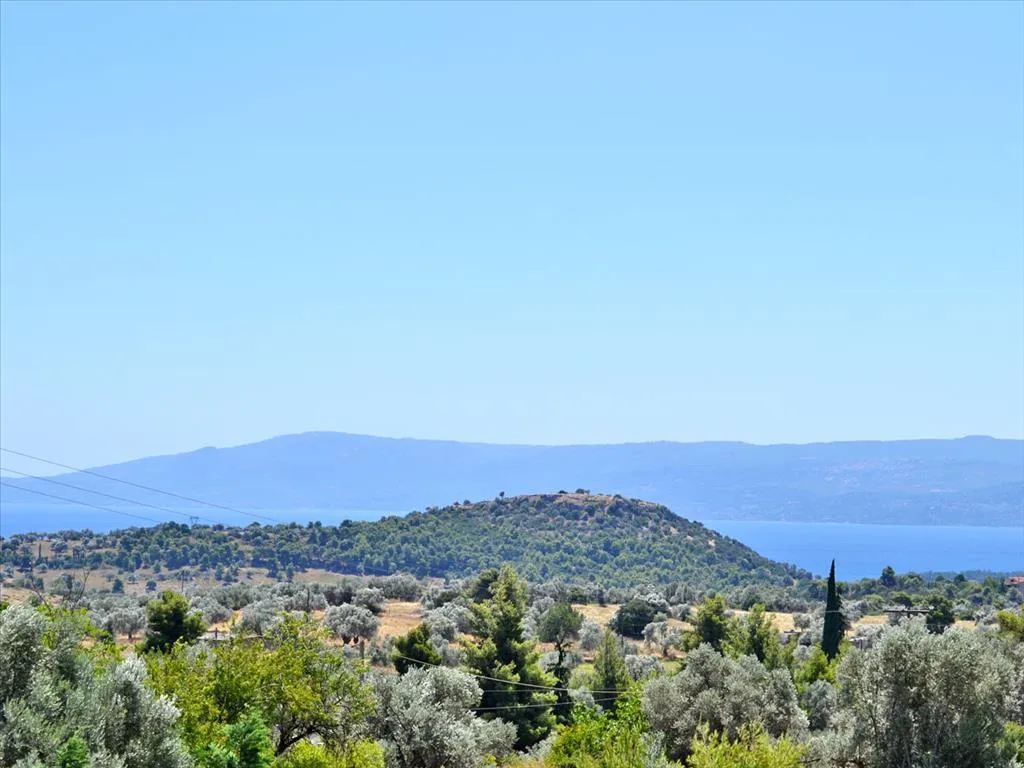 Μονοκατοικία 550τ.μ.  - 5
