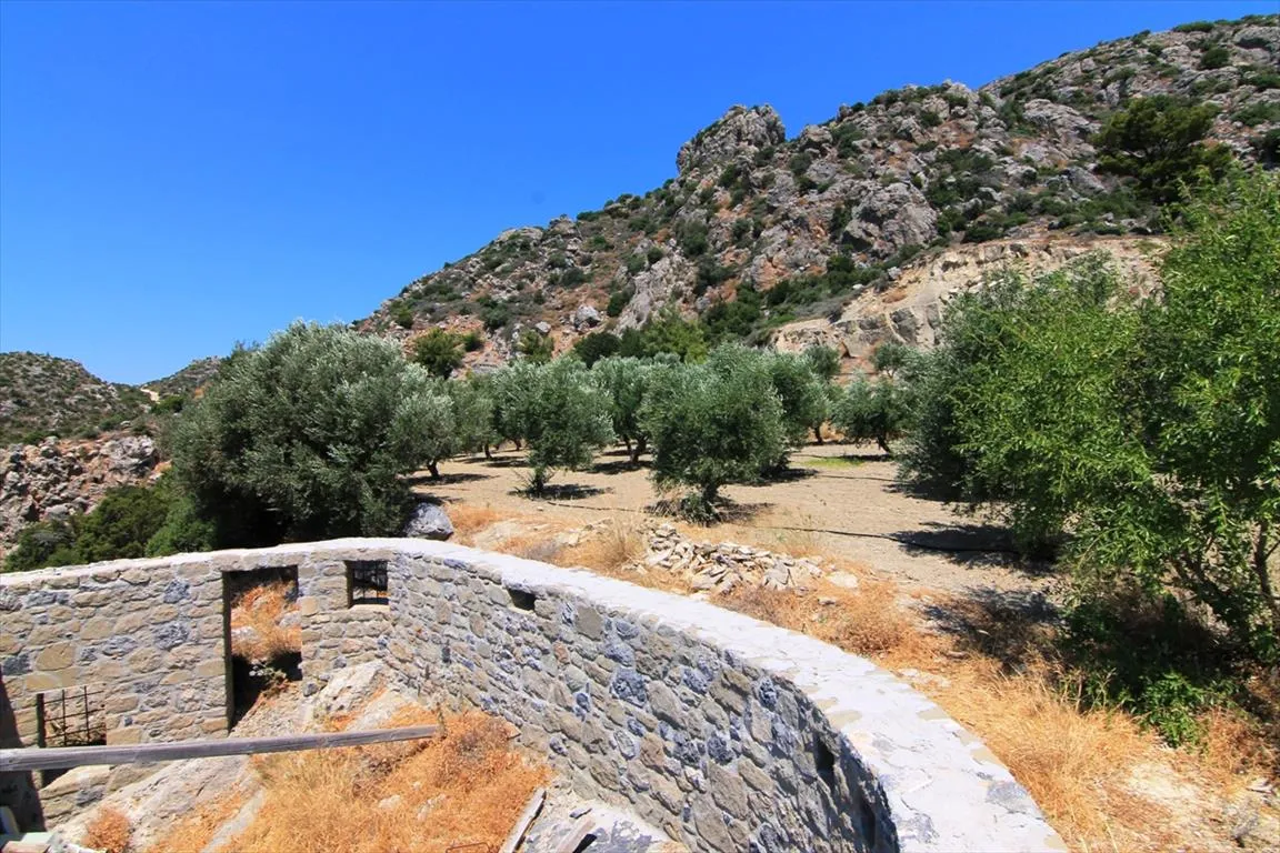 Οικόπεδο 2000τ.μ.  - 3
