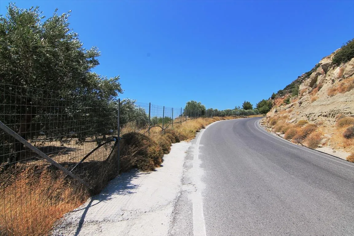 Οικόπεδο 2000τ.μ.  - 5