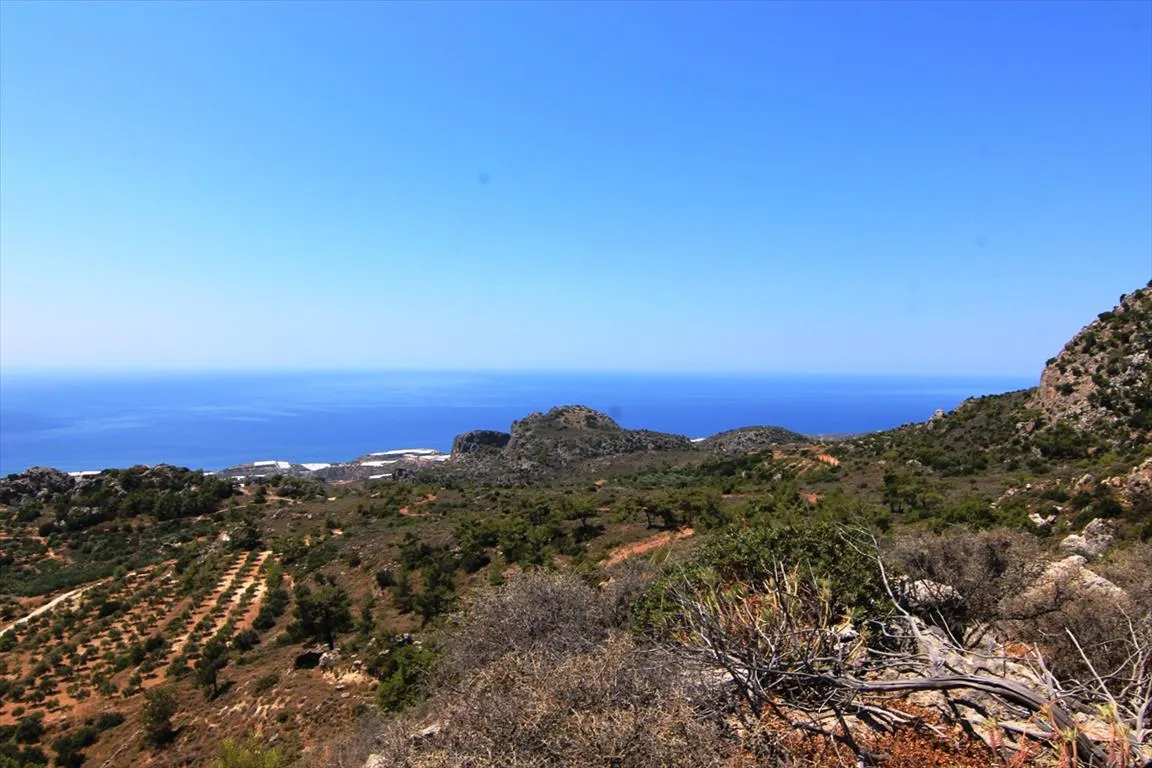Οικόπεδο 1700τ.μ.  - 2