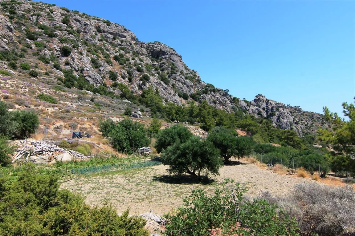 Οικόπεδο 1700τ.μ.  - 4