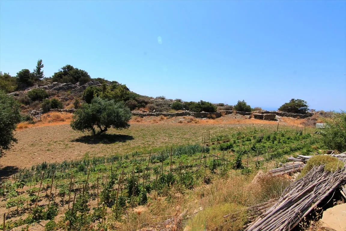 Οικόπεδο 1700τ.μ.  - 5