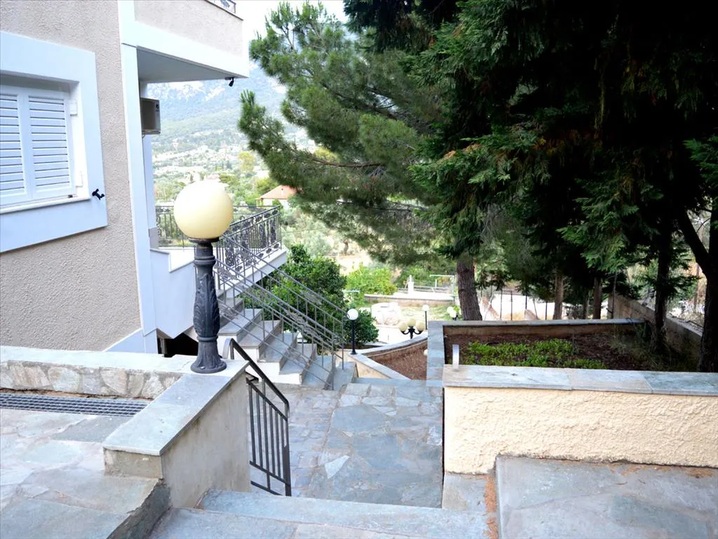 Μονοκατοικία 300τ.μ.  - 3