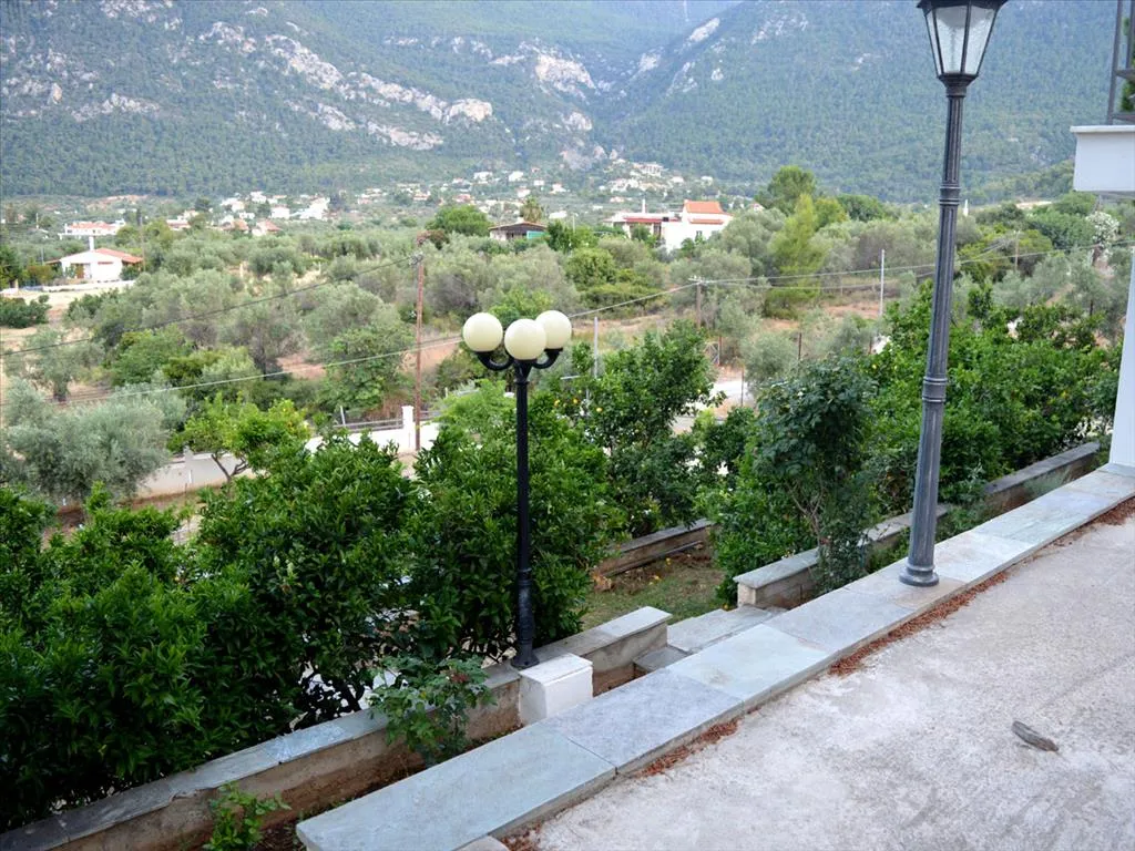 Μονοκατοικία 300τ.μ.  - 4