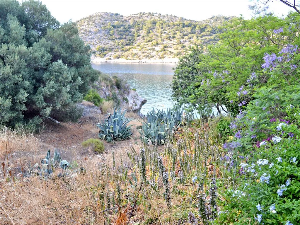 Μονοκατοικία 160τ.μ.  - 3
