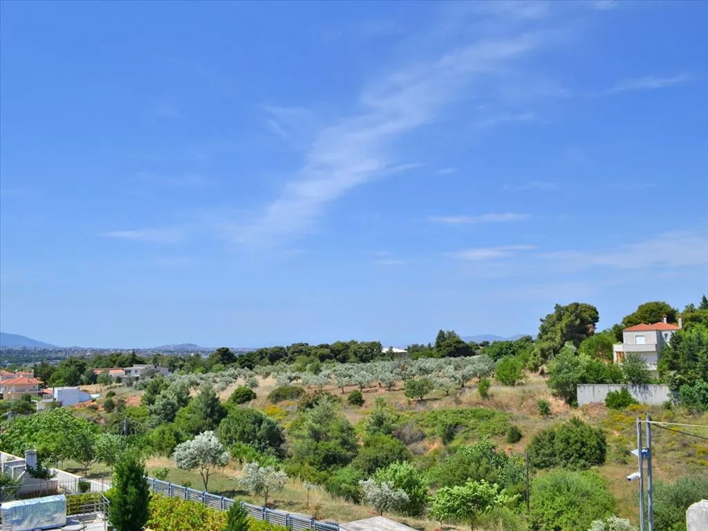 Μεζονέτα 225τ.μ.  - 2