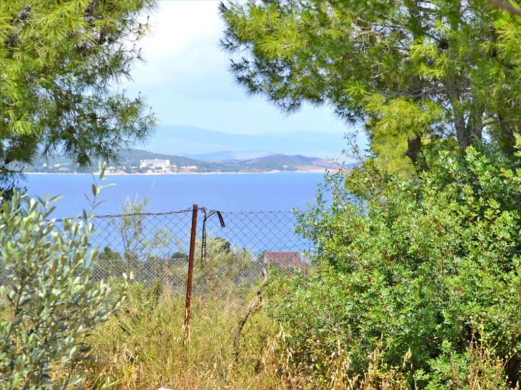 Άλλο..  400τ.μ.  - 4