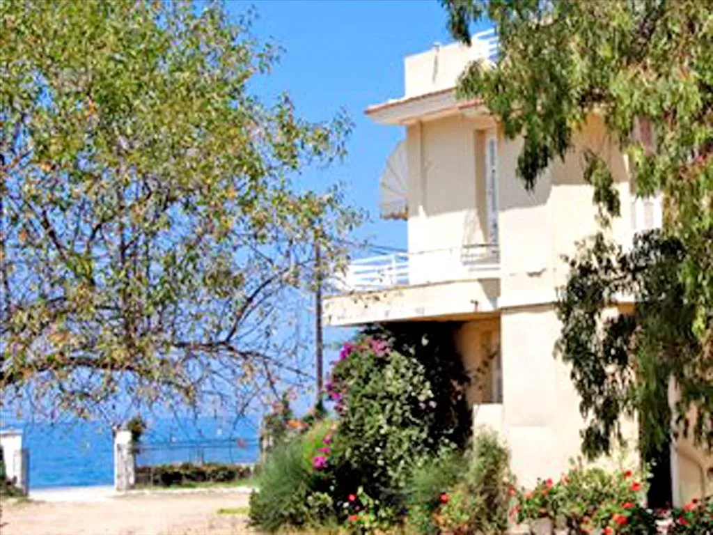 Μονοκατοικία 352τ.μ.  - 4
