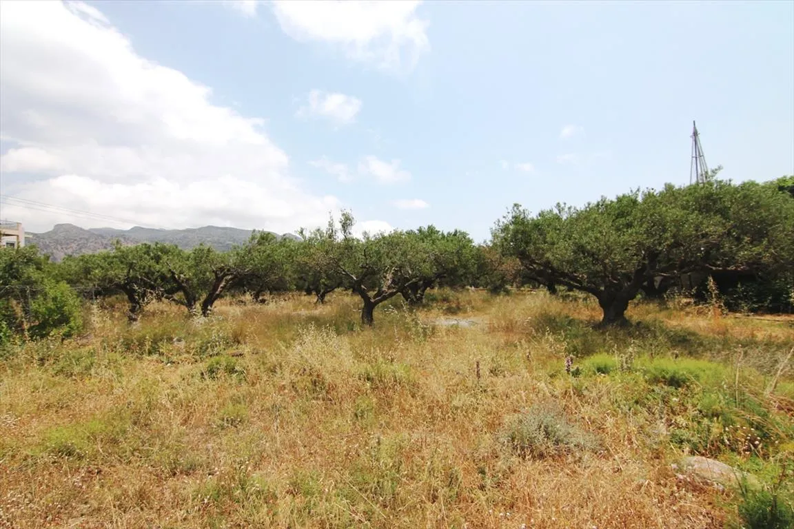 Οικόπεδο 4613τ.μ.  - 2