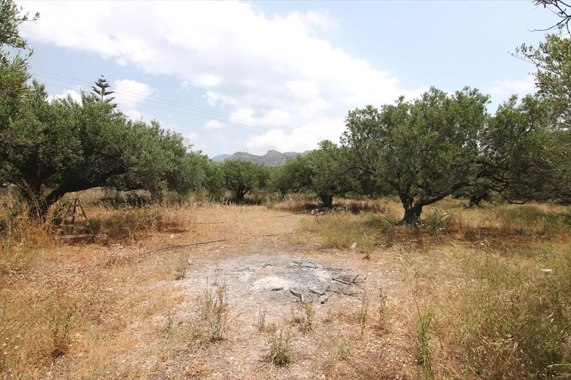 Οικόπεδο 4613τ.μ.  - 4