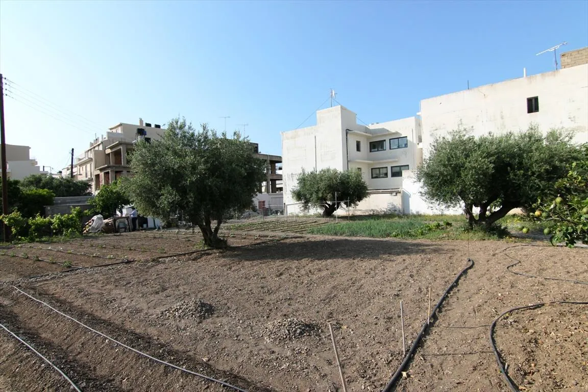 Plot 1293m²  - 3