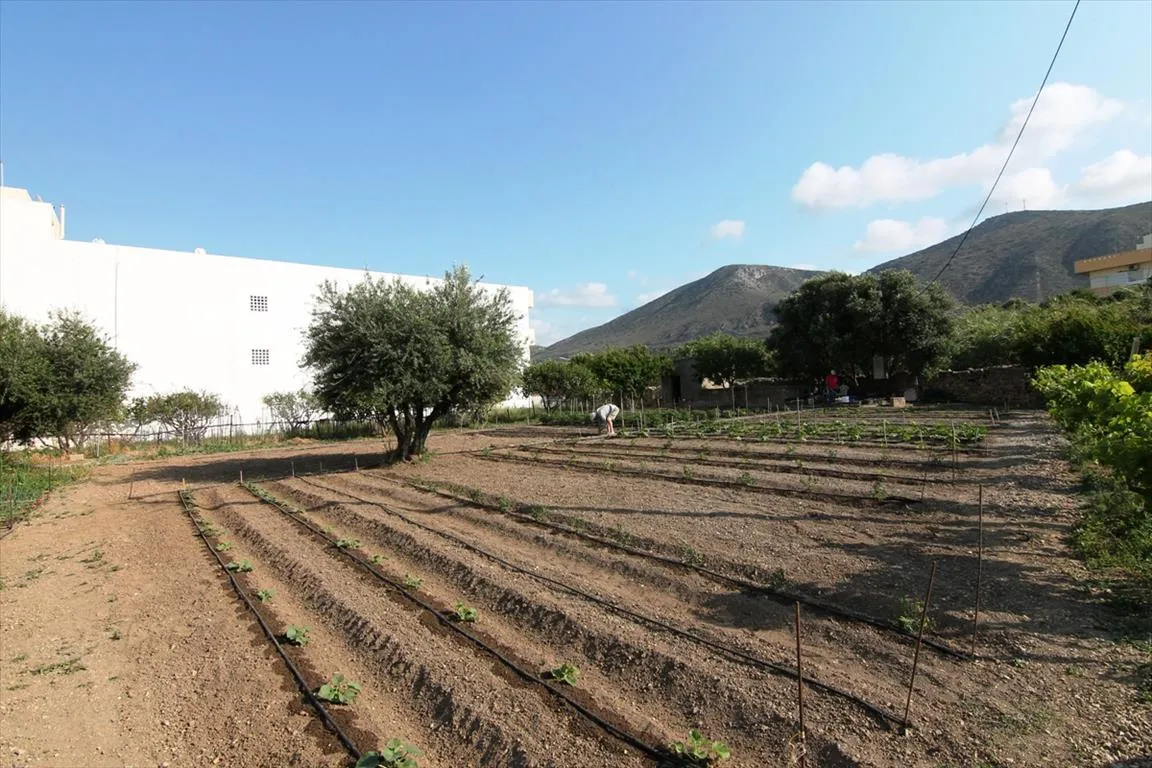 Plot 1293m²  - 4