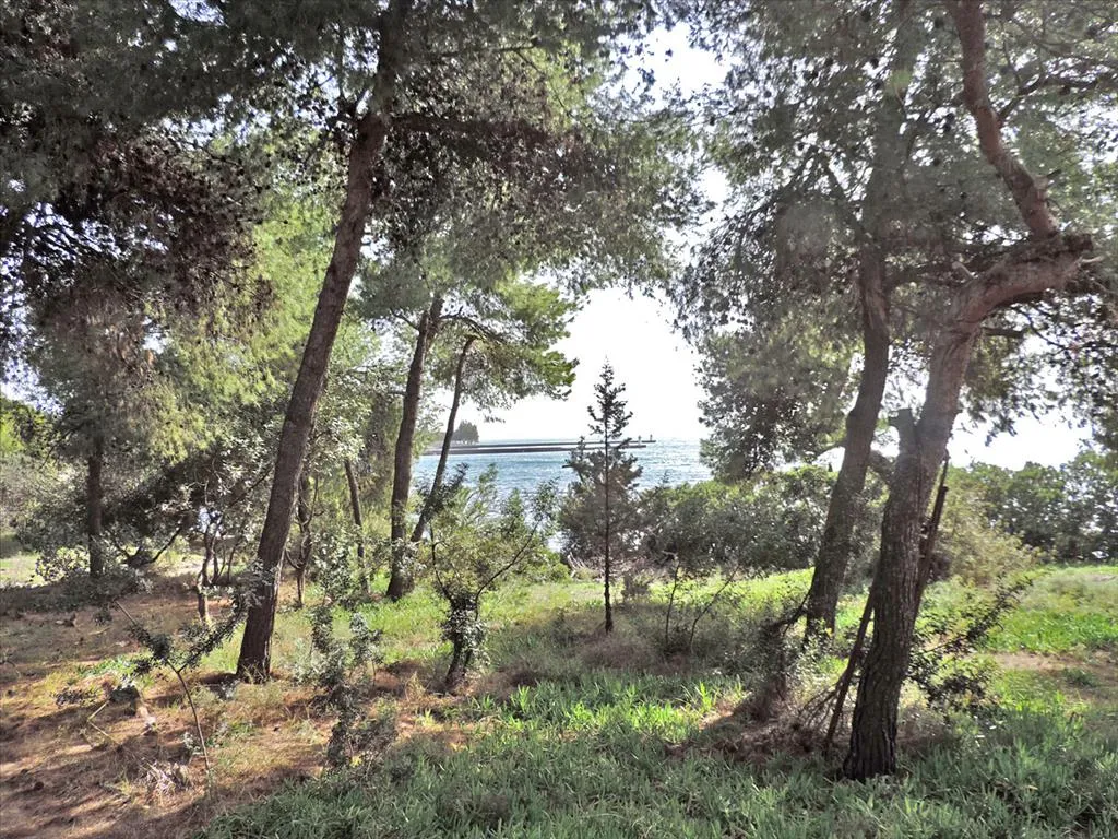 Plot 75m²  - 3