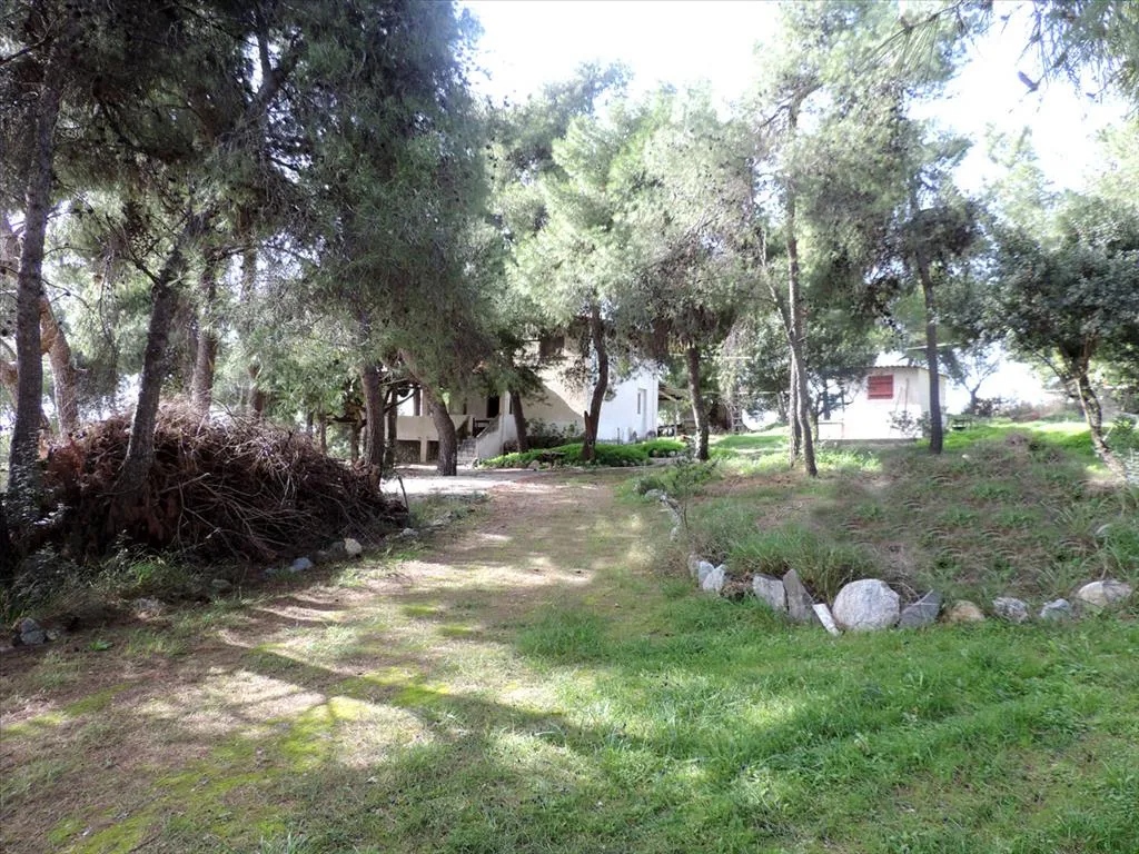 Plot 75m²  - 4