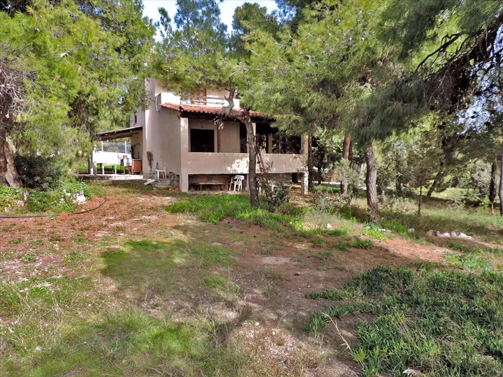 Plot 75m²  - 5