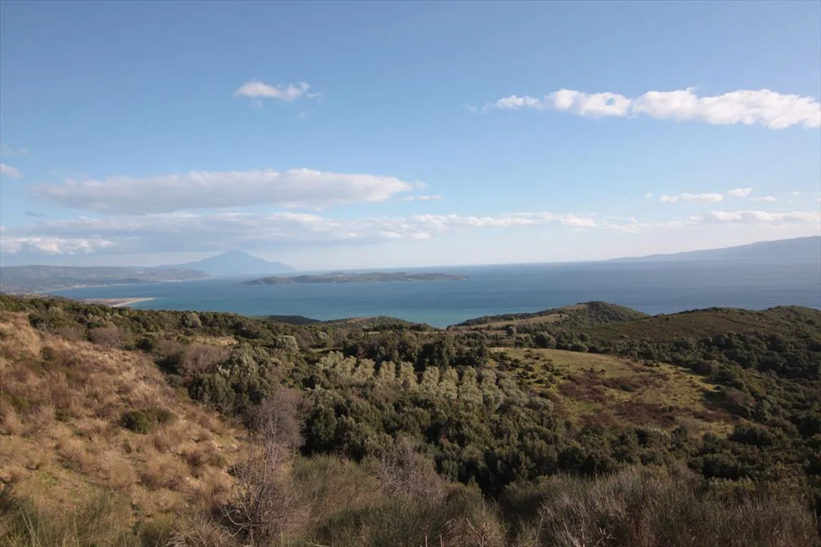 Οικόπεδο 8000τ.μ.  - 2