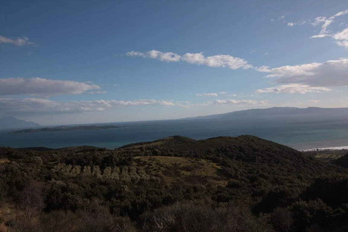Οικόπεδο 8000τ.μ.  - 5